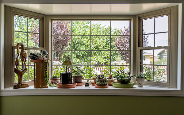 Bay Window and Bow Window