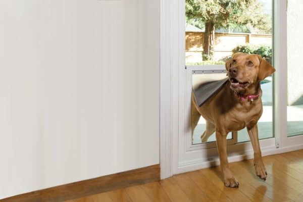 Freedom+ In-Glass Pet Doors