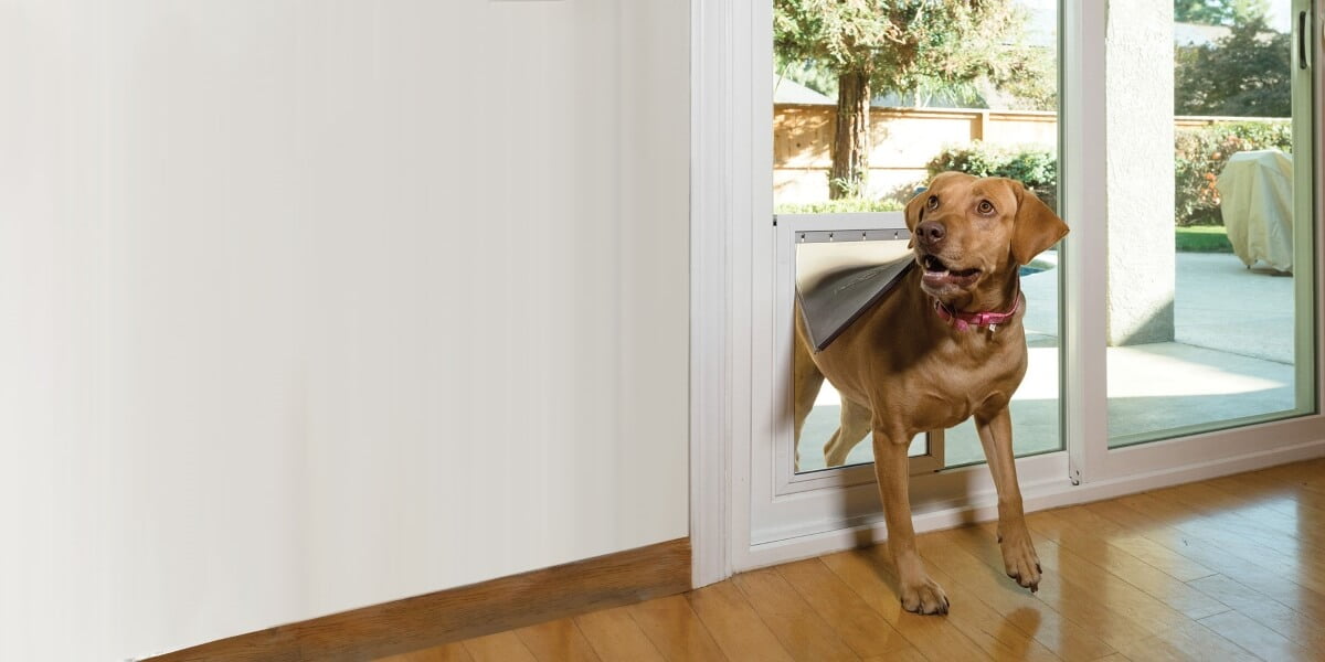 Freedom+ In-Glass Pet Doors